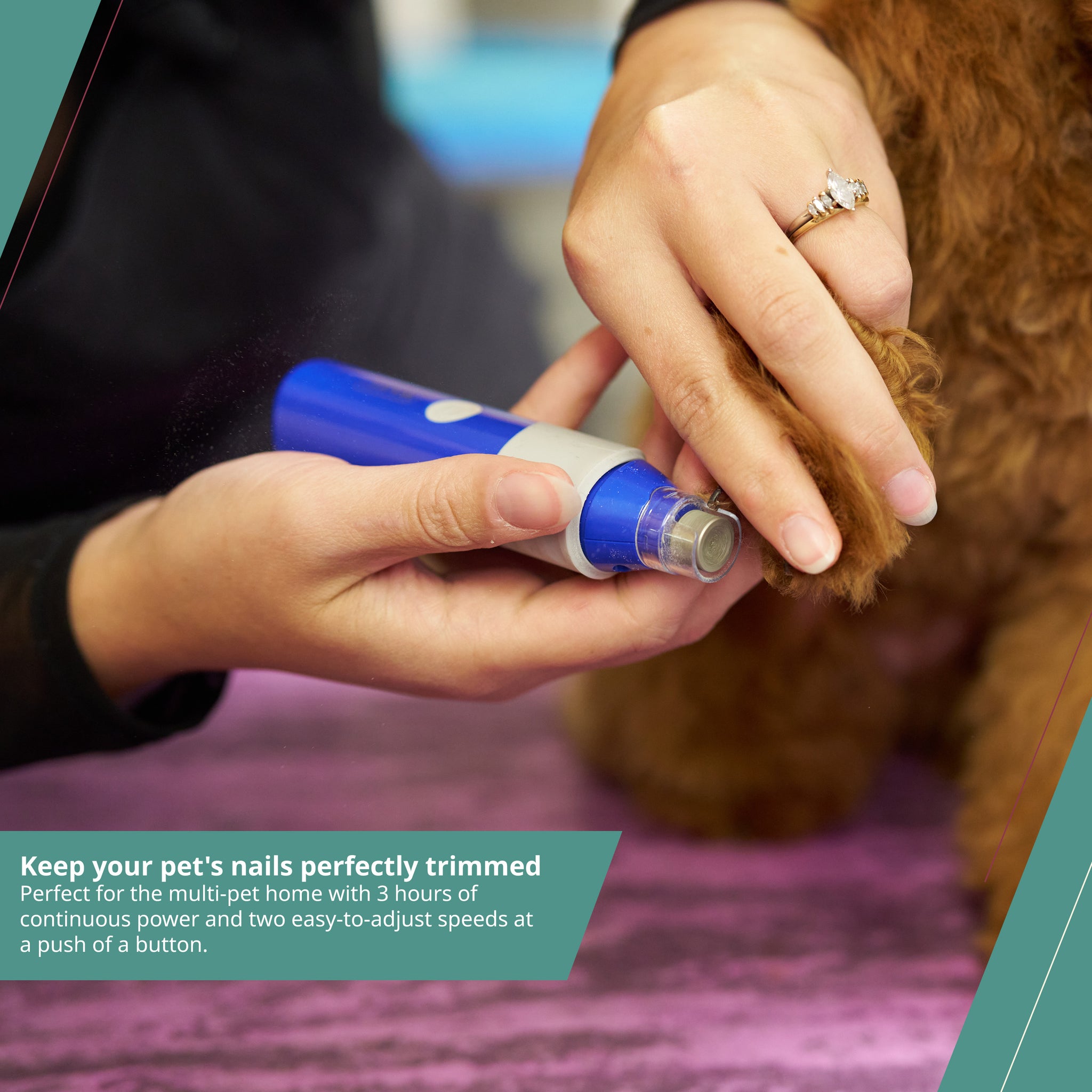 Wahl Meuleuse à ongles à flexion