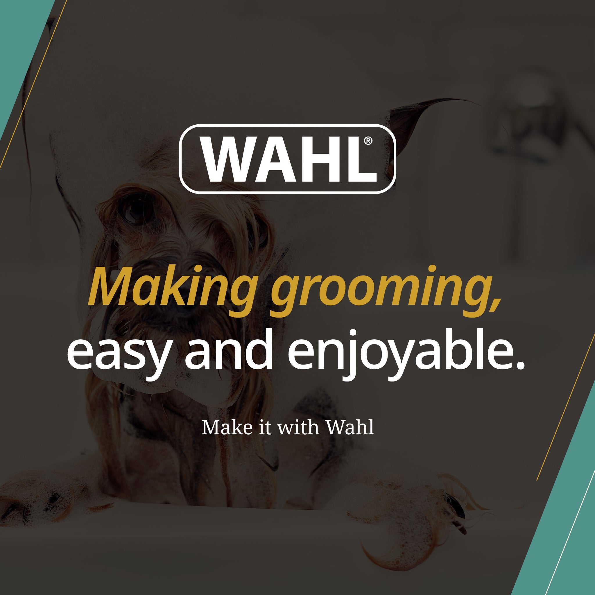 Dog Probiotic Paw Cleaner