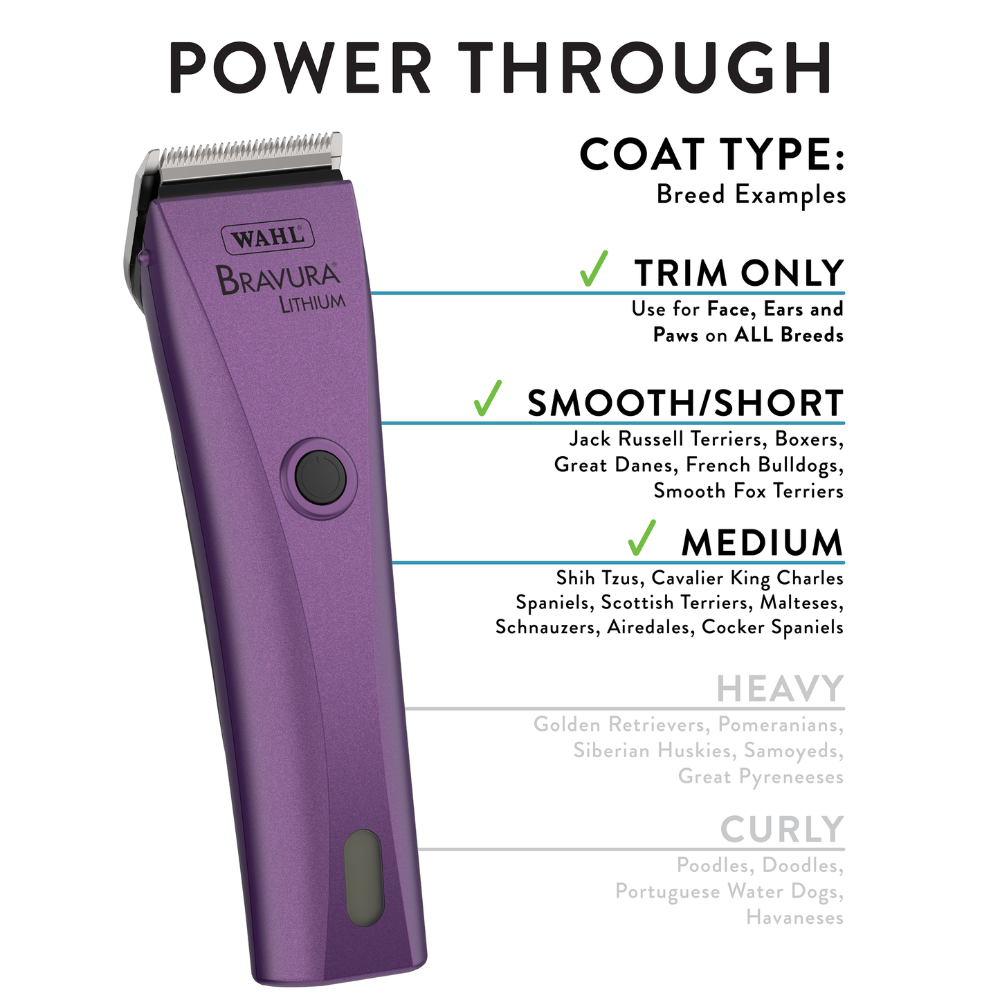LITHIUM BRAVURA - PURPLE