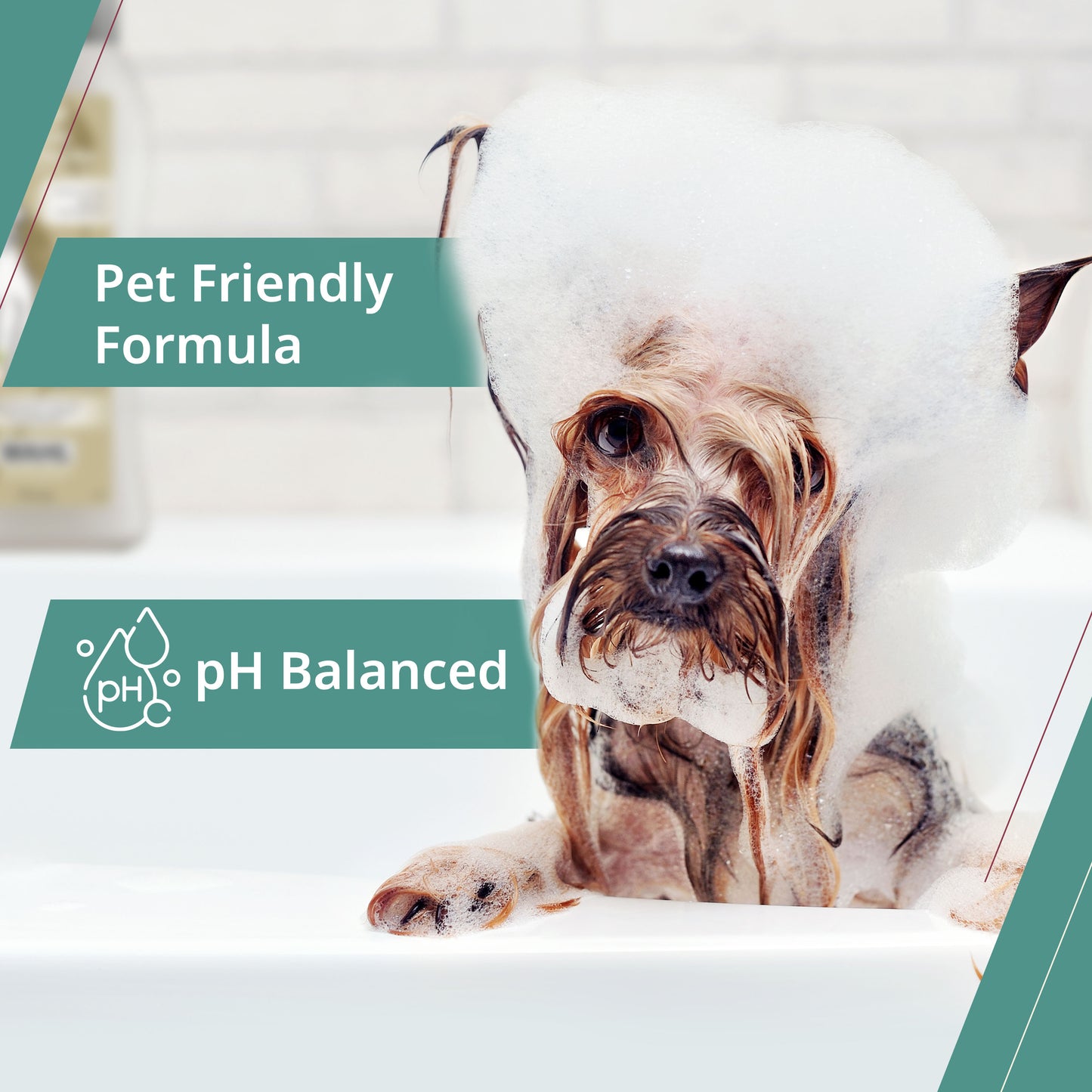 Wahl Kit de produits essentiels pour l'été pour animaux de compagnie–Ensemble de 4 pièces