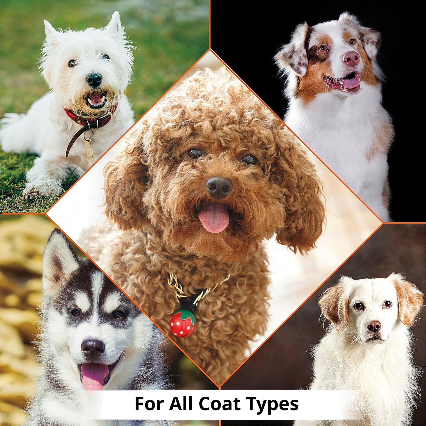 WAHL Pet Summer Fresh Essentials Kit – 4-Piece Set