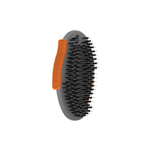 BROSSE PALM PAL-CHIEN