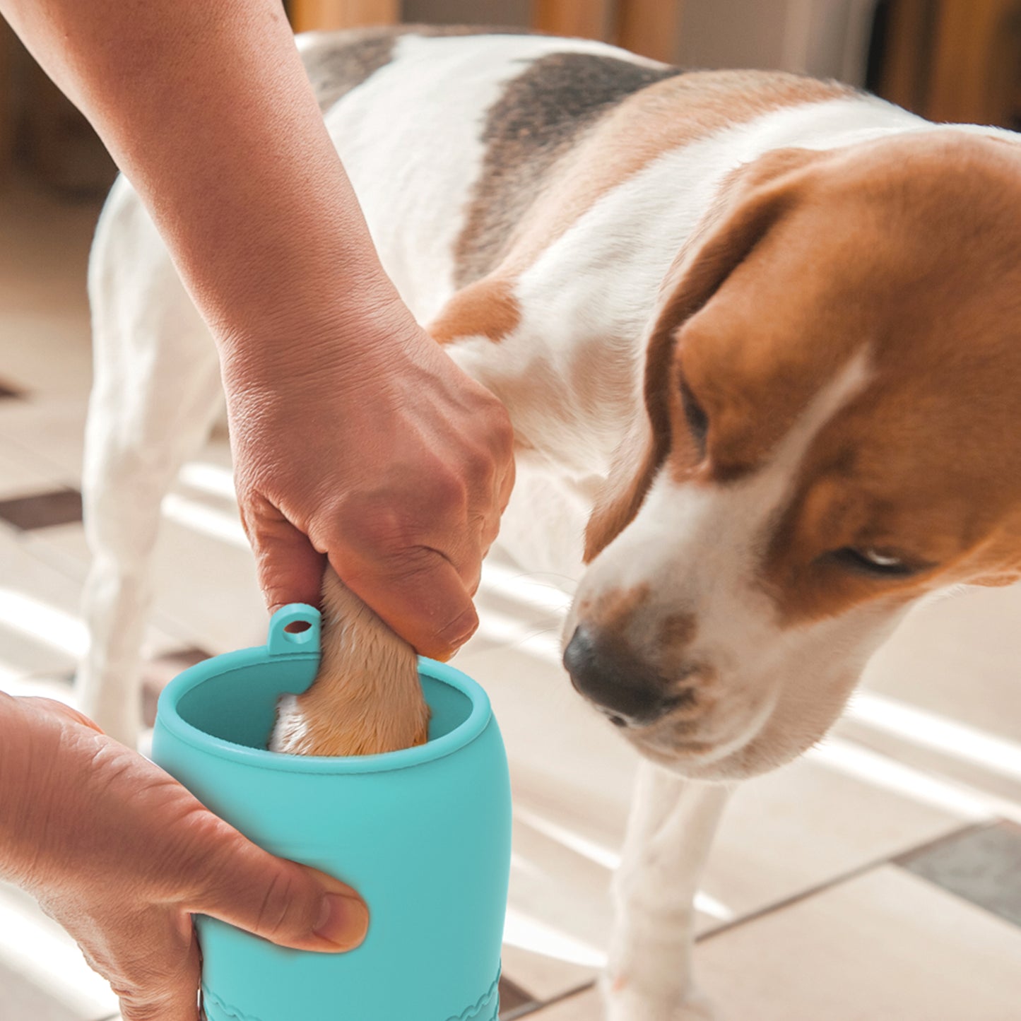 TASSE DE NETTOYAGE DE PATTES BOUÉES