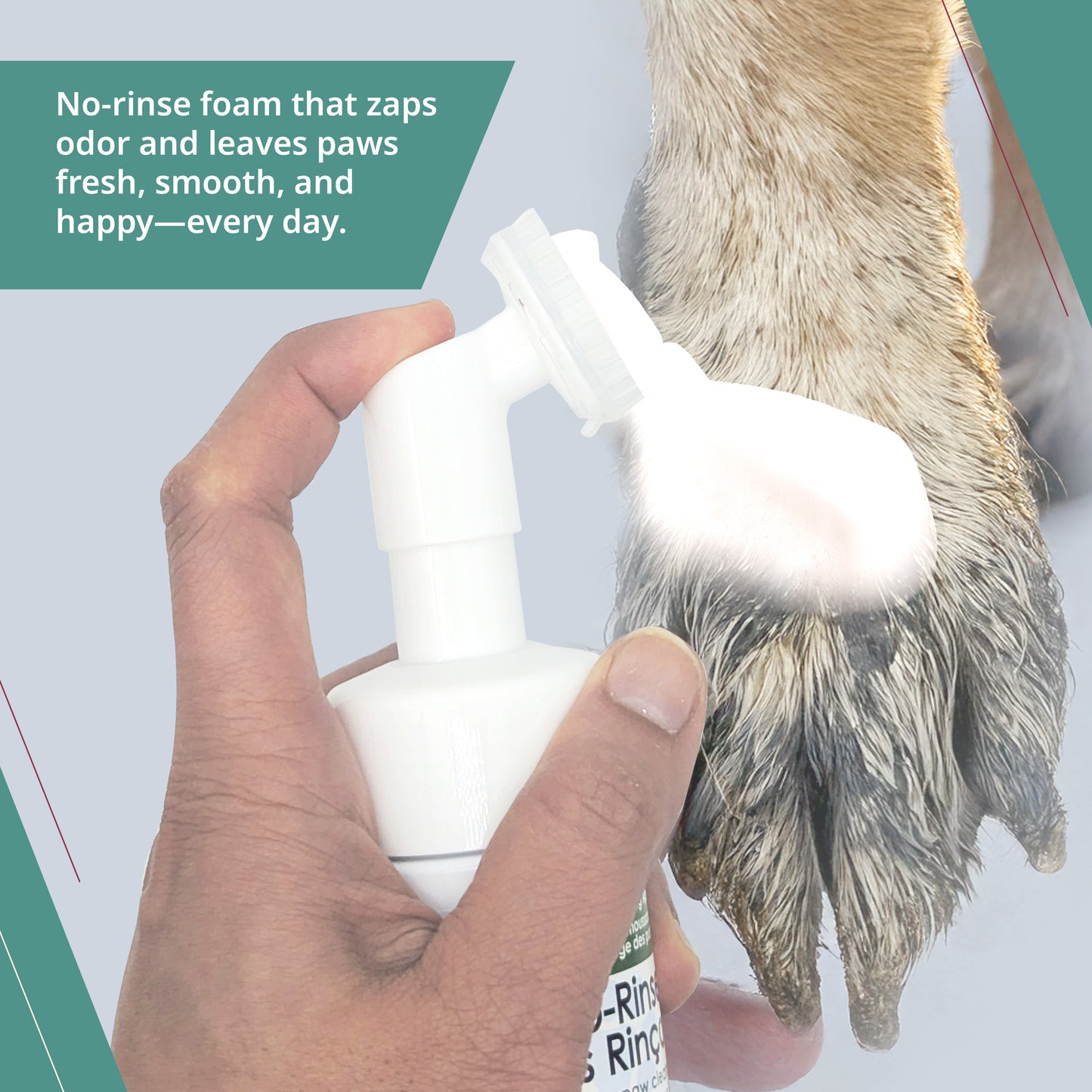 Nettoyant probiotique pour pattes de chien
