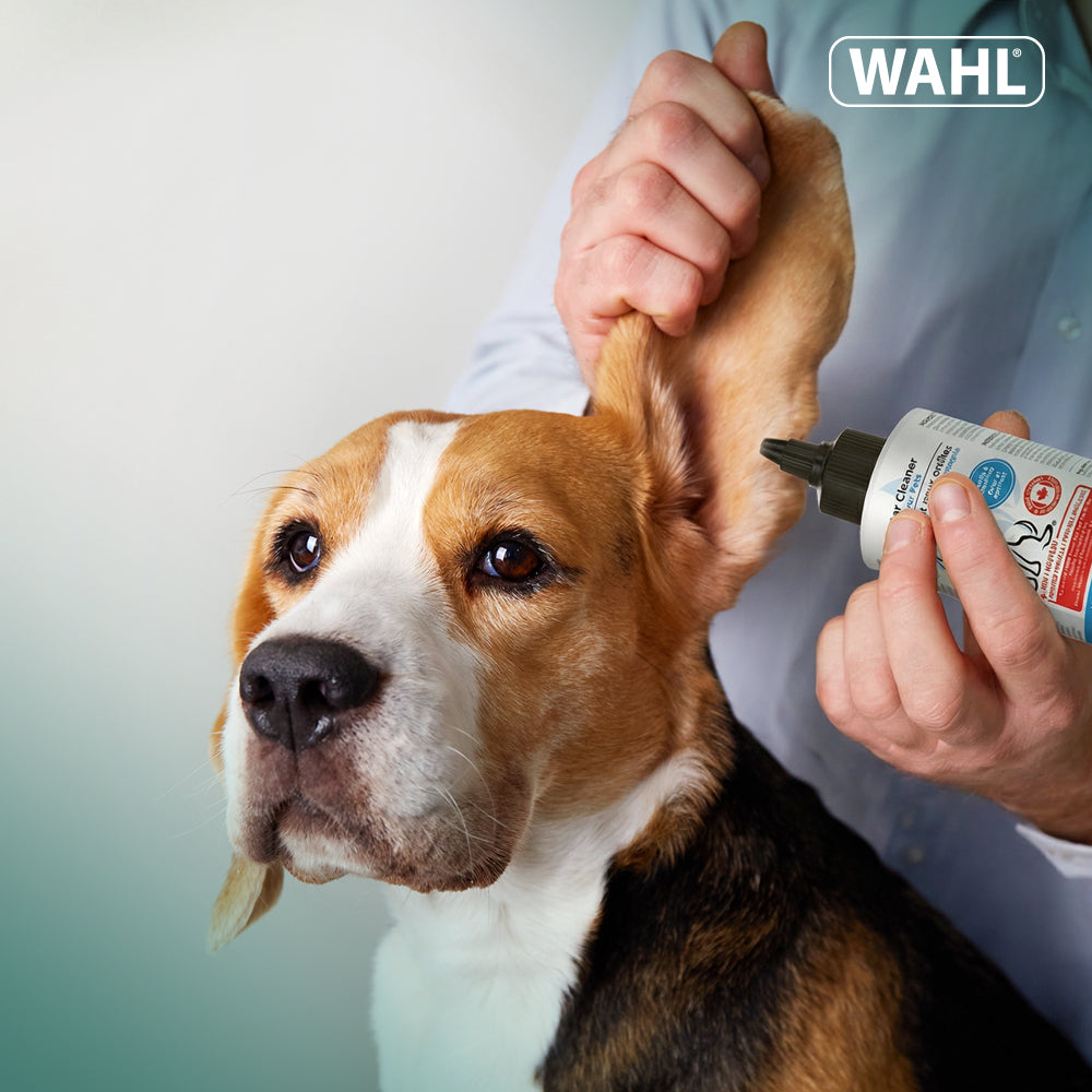 Wahl Nettoyant auriculaire pour animaux à l'eucalyptus-175 ml