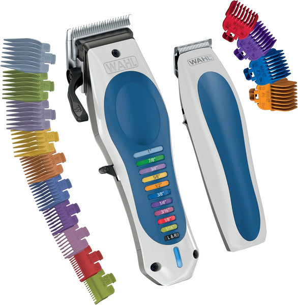 LithiumIonColorProRechargeable