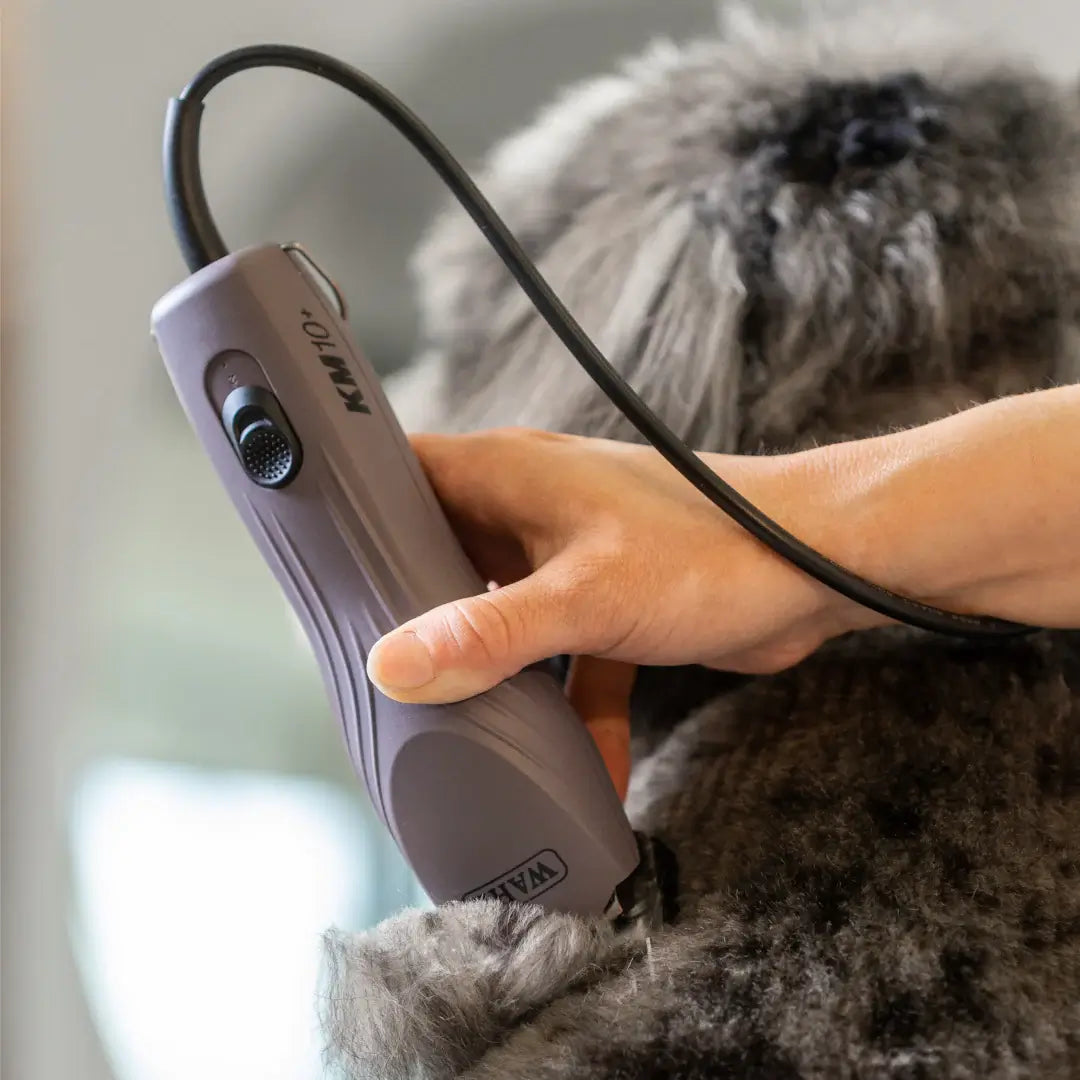 dog groomer clippers