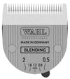 BLENDING BLADE